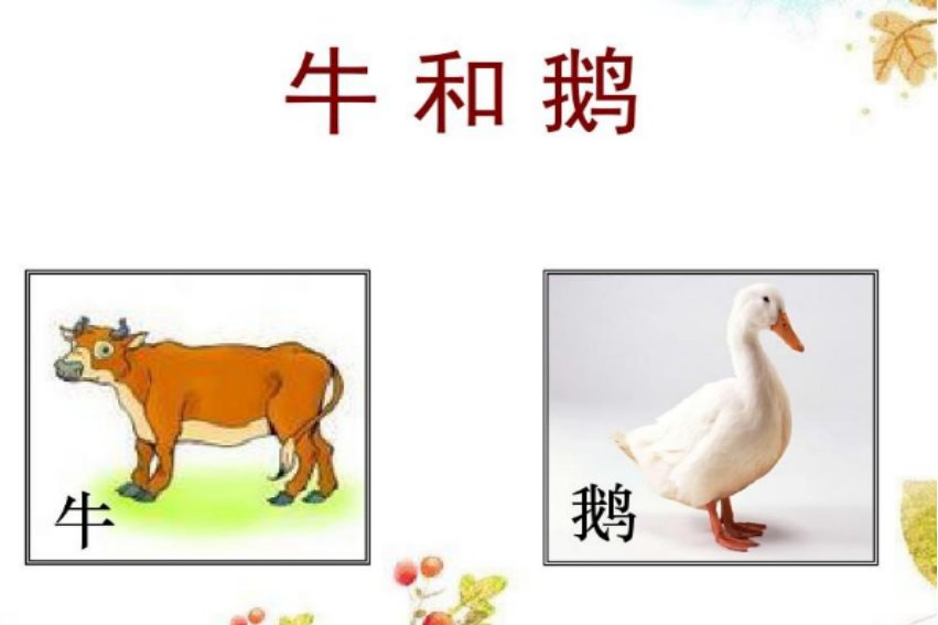 四年级上册《牛和鹅》生字组词