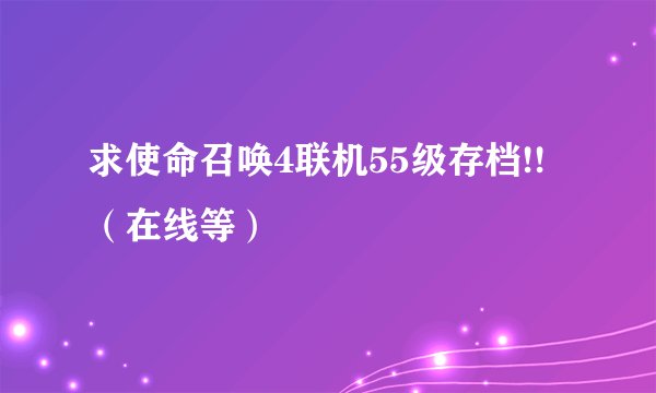 求使命召唤4联机55级存档!!（在线等）
