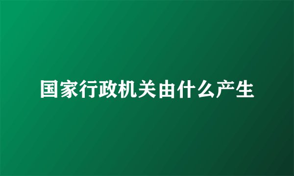 国家行政机关由什么产生
