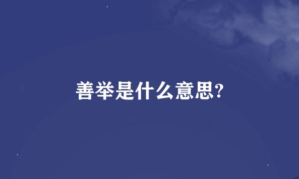 善举是什么意思?