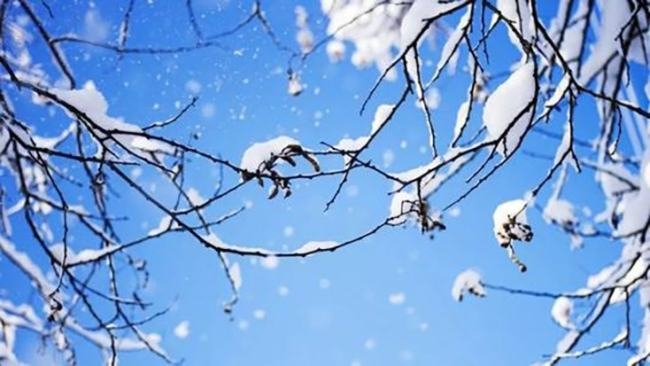 初雪的特殊意义是？