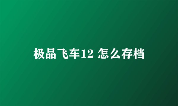 极品飞车12 怎么存档