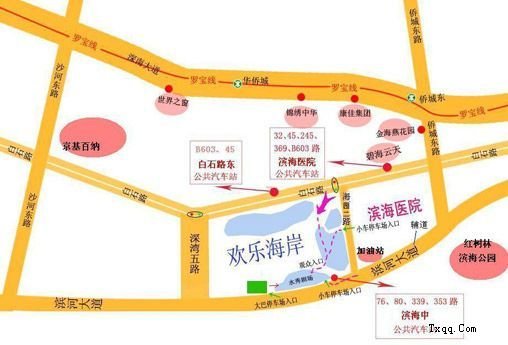 在广州北站搭高铁去深圳的南山区在哪里下车？