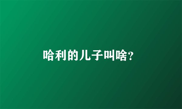 哈利的儿子叫啥？
