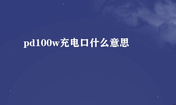 pd100w充电口什么意思