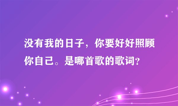 没有我的日子，你要好好照顾你自己。是哪首歌的歌词？