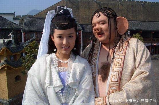 是什么样的原因导致了猪八戒投胎之后变成了一只猪？