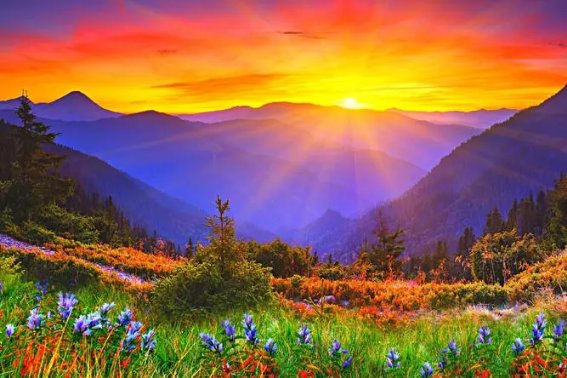 亮在田字格的正确写法