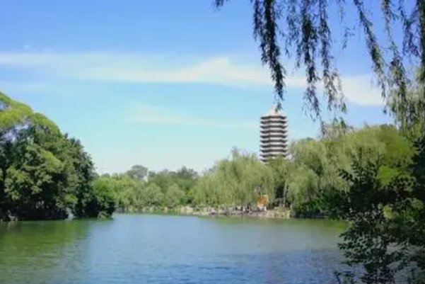 北大心理学研究生报考条件