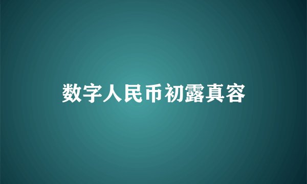 数字人民币初露真容