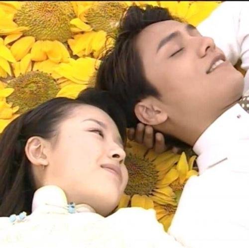 陈坤、董洁恋情公布了吗？