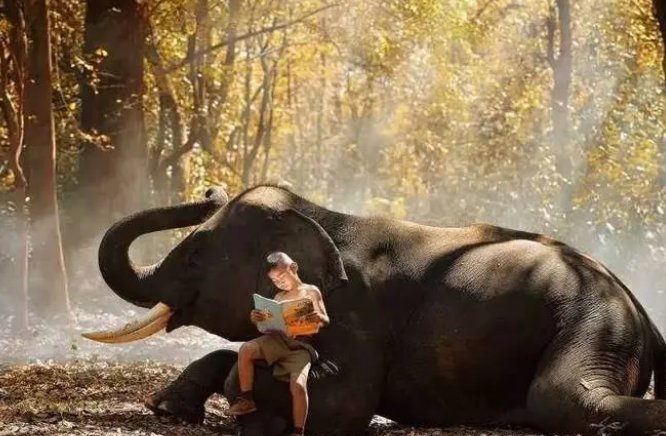 人文艺术的英文怎么说？