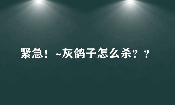 紧急！~灰鸽子怎么杀？？