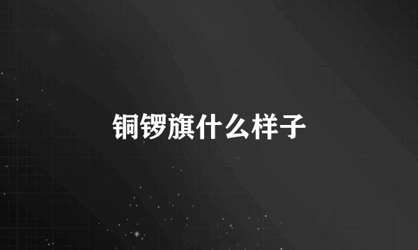 铜锣旗什么样子