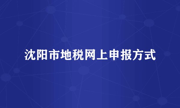 沈阳市地税网上申报方式
