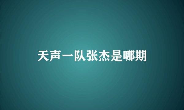 天声一队张杰是哪期