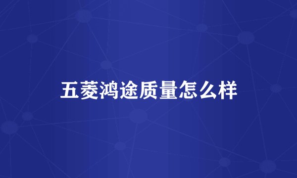 五菱鸿途质量怎么样