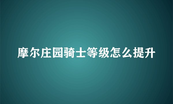 摩尔庄园骑士等级怎么提升