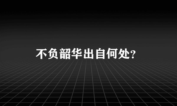 不负韶华出自何处？