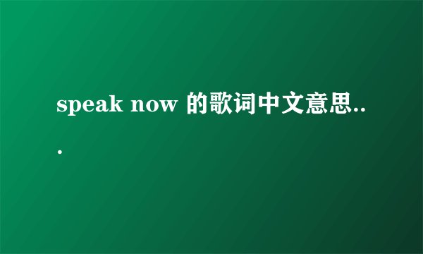 speak now 的歌词中文意思...