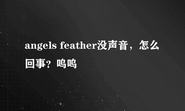 angels feather没声音，怎么回事？呜呜