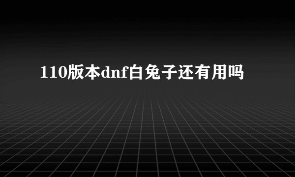 110版本dnf白兔子还有用吗