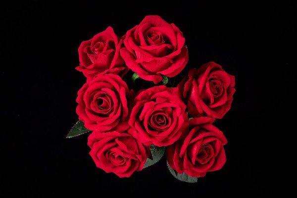 十朵玫瑰花代表什么意思?