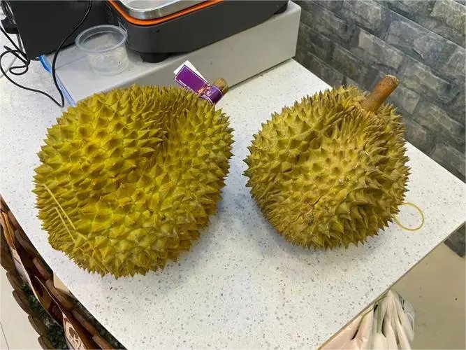 榴莲上市的季节是什么时候