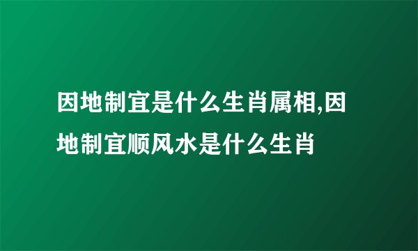 因地制宜是什么生肖属相,因地制宜顺风水是什么生肖