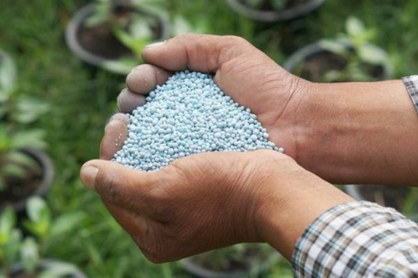 叶面肥排名榜前十名