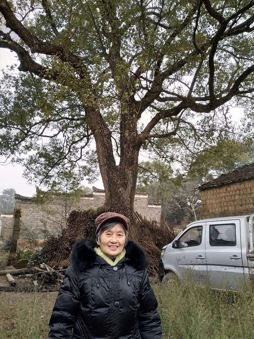 杭州一女儿拍下7000张妈妈辛勤工作照，这一张张照片都记录了什么？