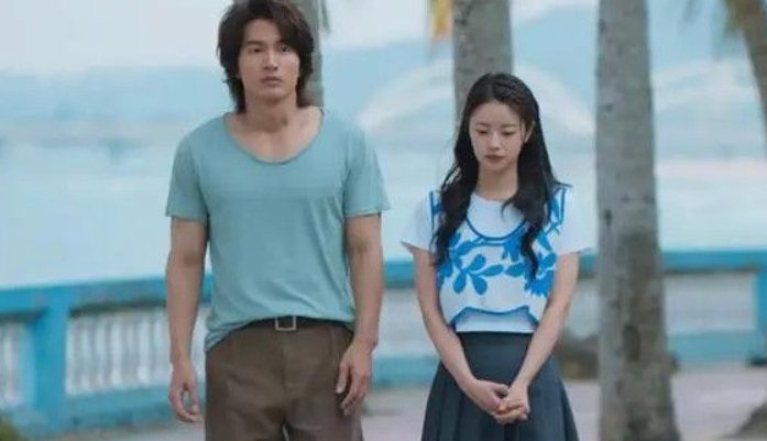 电视剧夏花的原著小说