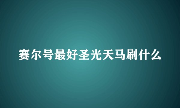 赛尔号最好圣光天马刷什么