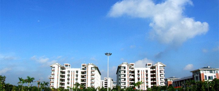 广西大学中加国际学院的远景展望