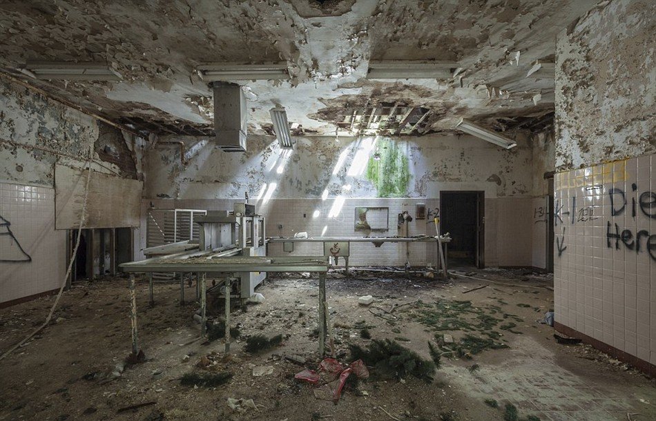 叶切断术的介绍