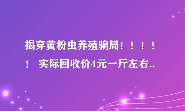 揭穿黄粉虫养殖骗局！！！！！ 实际回收价4元一斤左右..