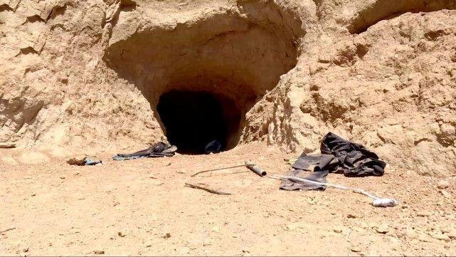 3男子盗挖土龙骨被埋身亡，他们的行为是否属于违法？