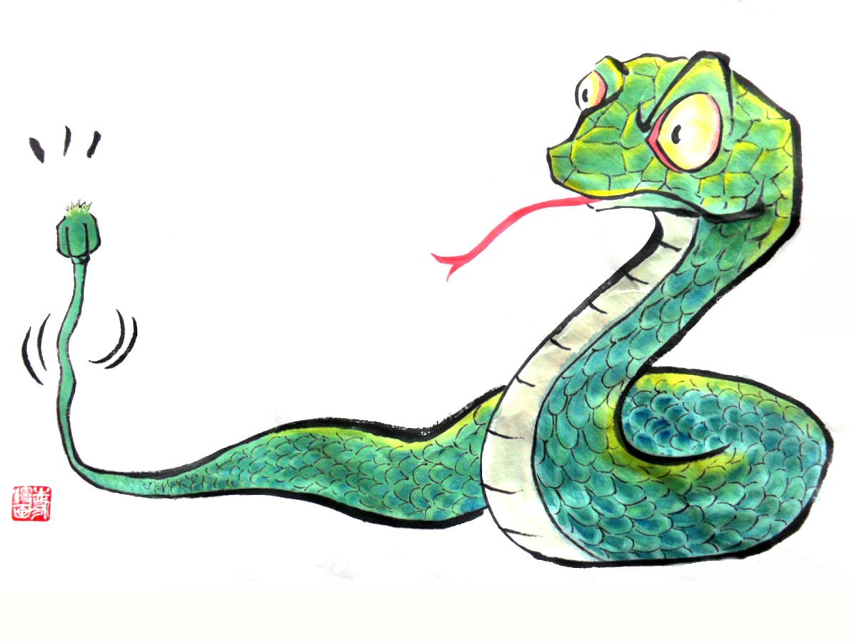 后院藏鼠蛇猜什么生肖