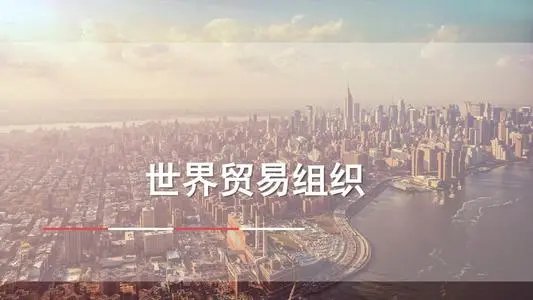 世界贸易组织(简称WTO)成立于哪一年？总部设在哪里？