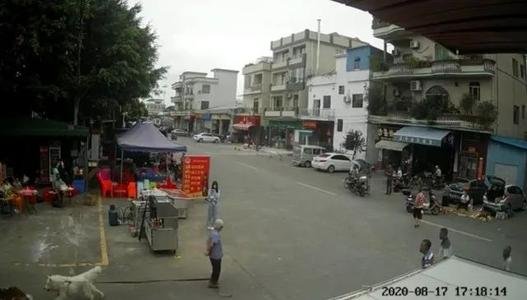 老人被绊亡不追责的消息是否属实？