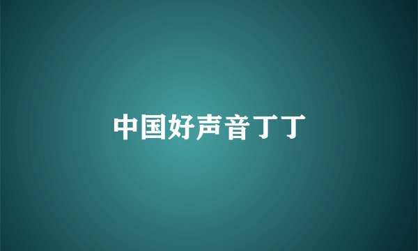 中国好声音丁丁