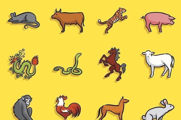 忆昔抚今是指什么生肖