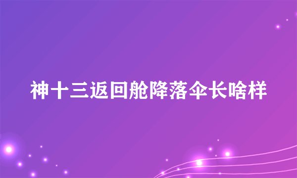 神十三返回舱降落伞长啥样