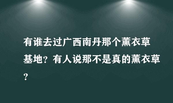 有谁去过广西南丹那个薰衣草基地？有人说那不是真的薰衣草？