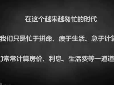 中国父母网的网站核心