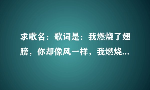 求歌名：歌词是：我燃烧了翅膀，你却像风一样，我燃烧了翅膀，到不了你身旁