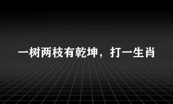 一树两枝有乾坤，打一生肖
