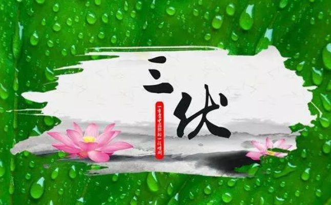 初伏从哪一天开始