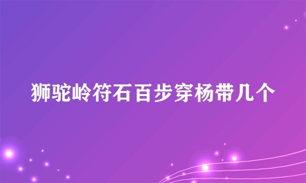 狮驼岭符石百步穿杨带几个