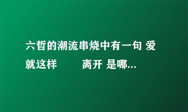 六哲的潮流串烧中有一句 爱 就这样 怱怱离开 是哪首歌里面的歌词